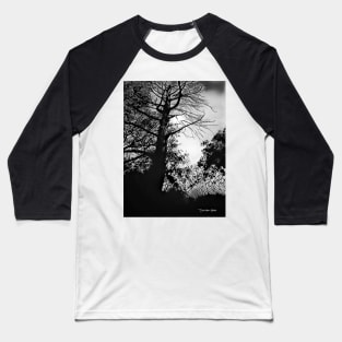 The Trees - Black And White Baseball T-Shirt